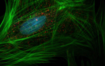 Cancer and Electricity: How Bioelectricity May Play a Role in Treatment